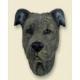 Staffordshire Bull Terrier Doogie Head, Brindle
