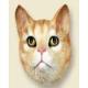 Tabby Cat Doogie Head, Red