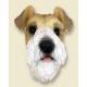 Fox Terrier Doogie Head, Wirehaired