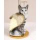 Maine Coon Cat (Silver) Tiny One Angel