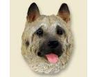 Akita Doogie Head, Fawn