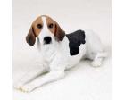 American Foxhound Figurine