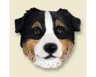 Australian Shepherd Doogie Head, Tri