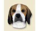 Beagle Doogie Head