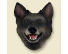 Belgian Tervuren Doogie Head