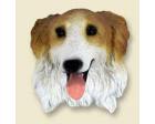 Borzoi Doogie Head