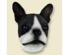 Boston Terrier Doogie Head