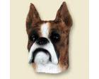 Boxer Doogie Head, Brindle