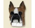 Boxer Doogie Head