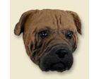 Bullmastiff Doogie Head