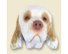 Clumber Spaniel Doogie Head