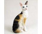 Cornish Rex Cat Figurine, Tort/White