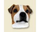 Jack Russell Terrier Doogie Head, Brown and White