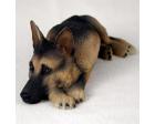 German Shepherd Figurine, Tan and Black (MyDog)