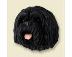 Lhasa Apso Doogie Head, Black