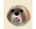 Lhasa Apso Doogie Head, Brown Puppycut