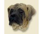 Mastiff Doogie Head