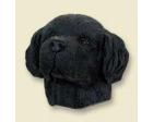 Newfoundland Doogie Head