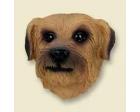 Norfolk Terrier Doogie Head