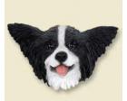 Papillon Doogie Head, Black and White