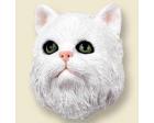 Persian Cat Doogie Head, White