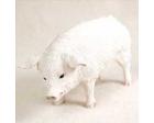 Pig Pink Figurine