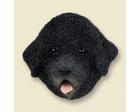 Portuguese Water Dog Doogie Head