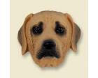 Rhodesian Ridgeback Doogie Head