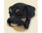 Rottweiler Doogie Head