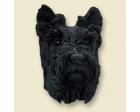 Scottish Terrier Doogie Head