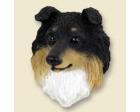 Shetland Sheepdog Doogie Head, Red/Black/White Sheltie