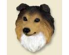 Shetland Sheepdog Doogie Head, Sable Sheltie