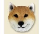 Shiba Inu Doogie Head