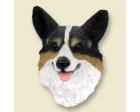 Welsh Corgi Doogie Head, Cardigan