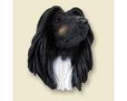 Afghan Doogie Head, Black and Tan