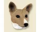 Basenji Doogie Head