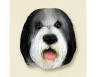 Bearded Collie Doogie Head