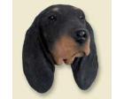 Black and Tan Coonhound Doogie Head