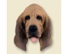 Bloodhound Doogie Head