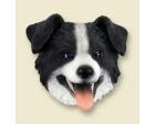 Border Collie Doogie Head