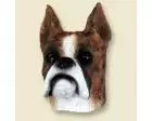 Boxer Doogie Head, Brindle
