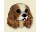 Cavalier King Charles Doogie Head, Brown and White
