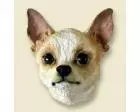 Chihuahua Doogie Head, White and Tan