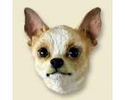 Chihuahua Doogie Head, White and Tan