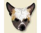Chinese Crested Dog Doogie Head