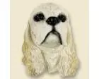 Cocker Spaniel Doogie Head, Blond