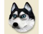 Siberian Husky Doogie Head, Black/White with Blue Eyes