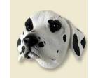 Dalmatian Doogie Head