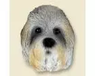 Dandie Dinmont Terrier Doogie Head