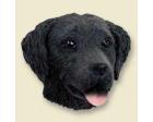 Flat-coated Retriever Doogie Head